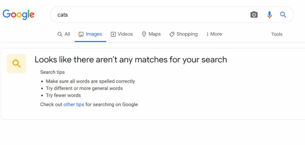 Скрийншот на търсене в Google без резултат за бизнес